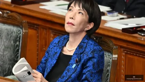 战队夏季赛备，新普京赌场，战，新战术备受期待